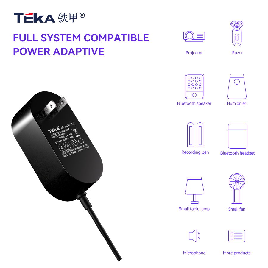 TE-JP Wall mount 42w power adapter