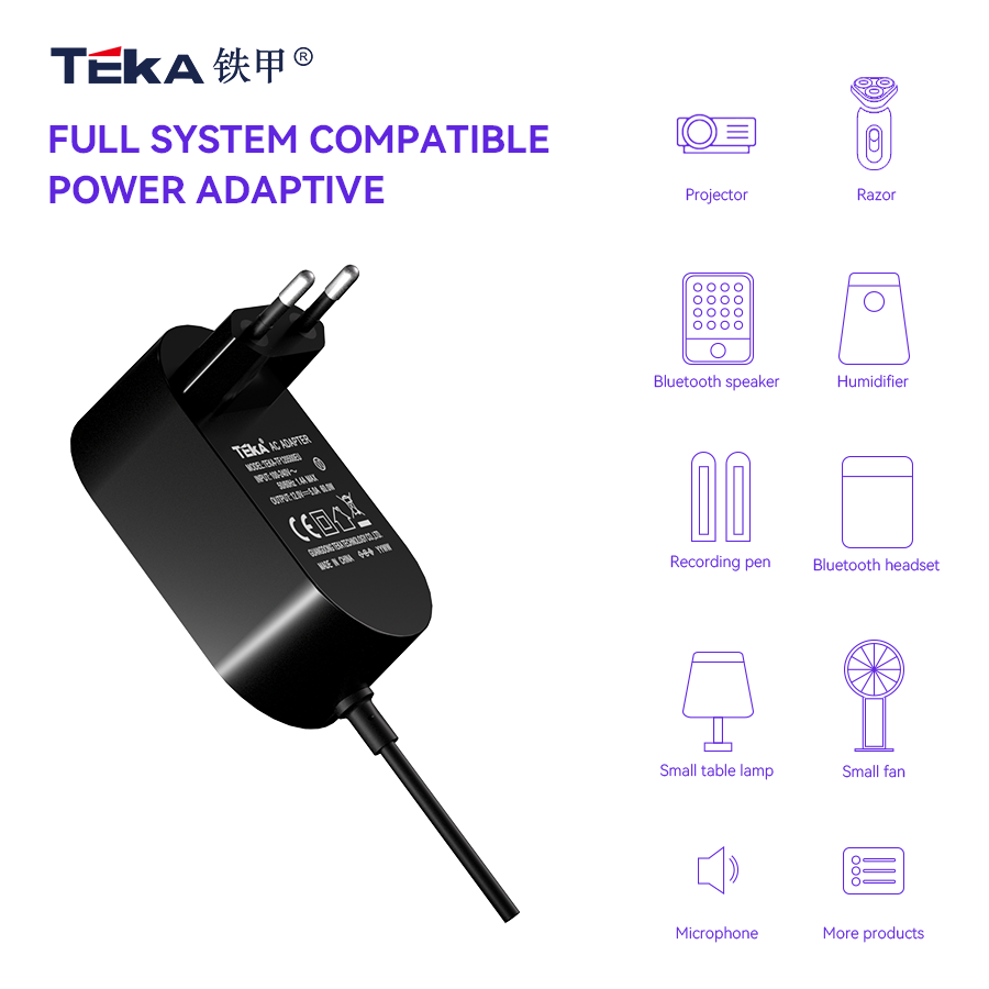 TF-EU Wall mount 65w power adapter