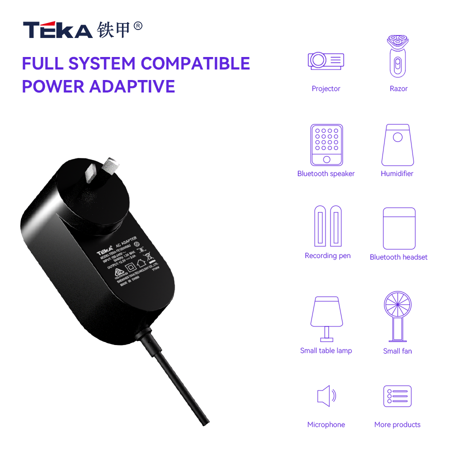 TE-AU Wall mount 42w power adapter