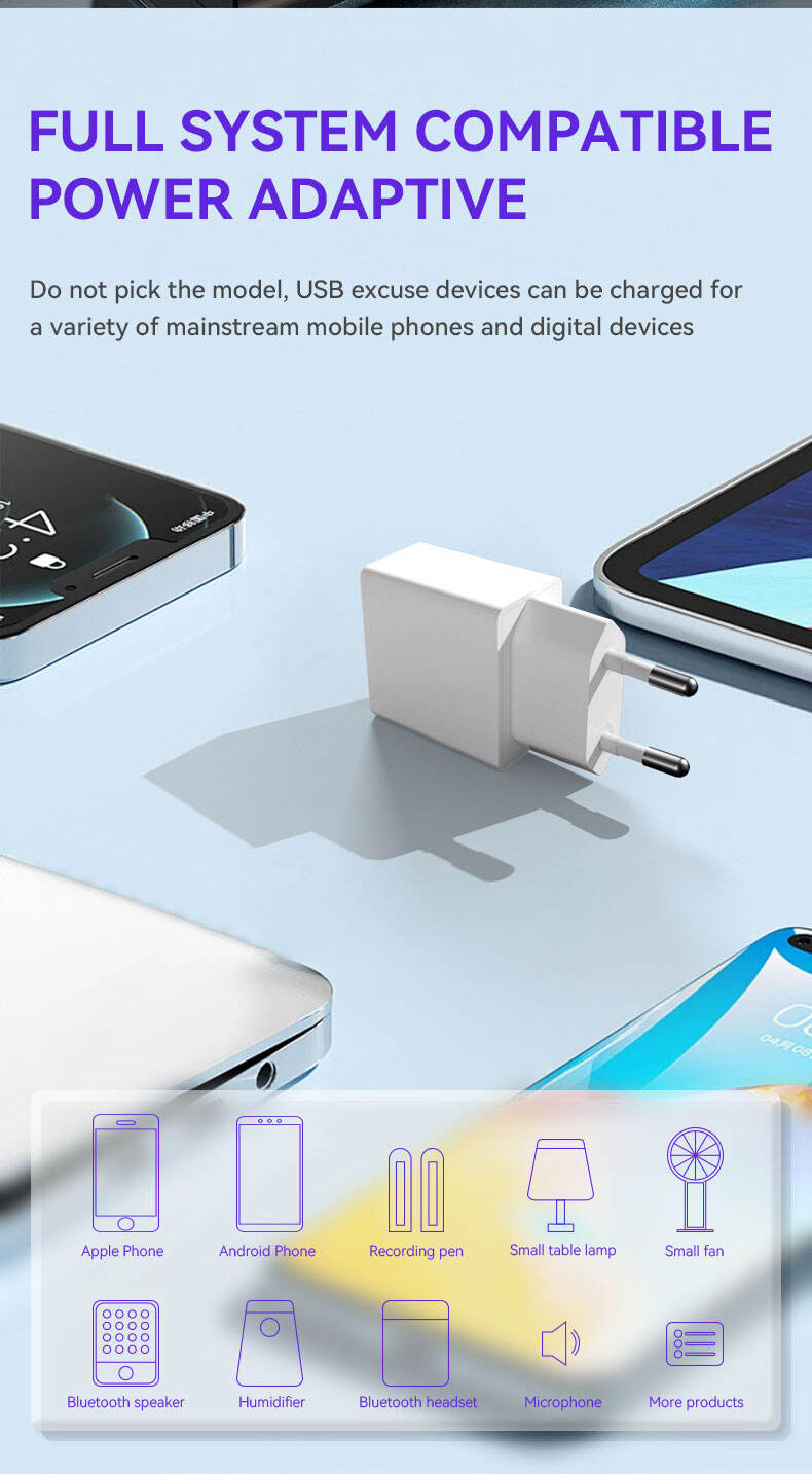 5V1A USB  5V1A-EU Diversified Fast Charger details