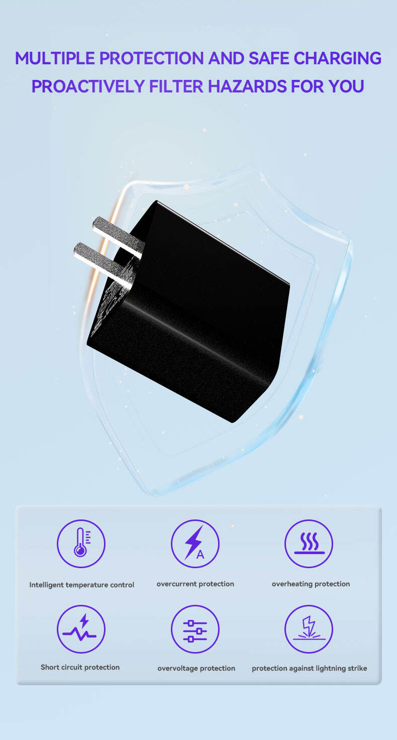 65W PD 65W PD Single C- CH Diversified Fast Charger manufacture