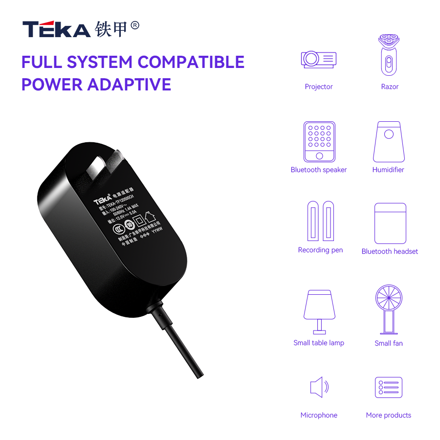 TF-CH Wall mount 65w power adapter