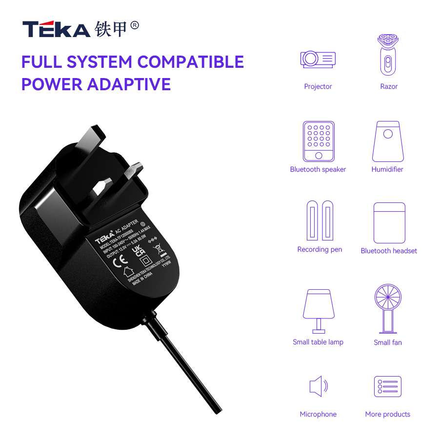 TF-BS Wall mount 65w power adapter