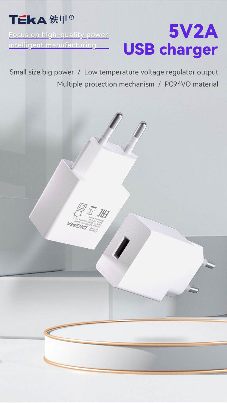 5V2A USB 5V2A-Russia Diversified Fast Charger supplier