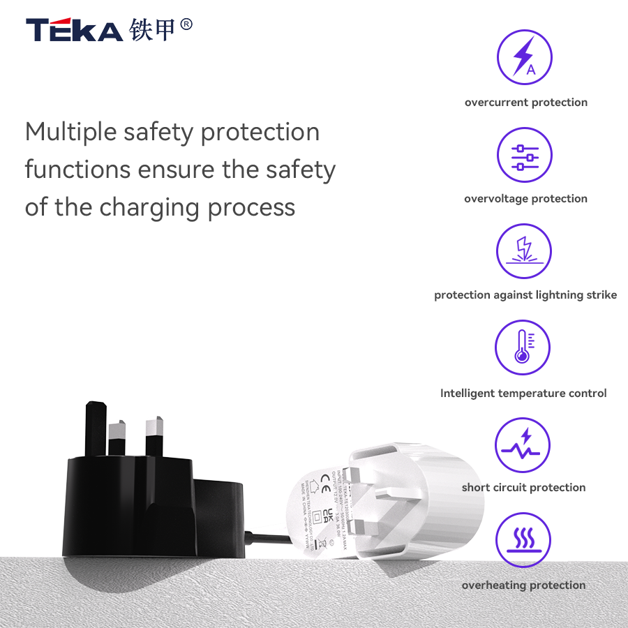 TE-BS Wall mount 42w power adapter