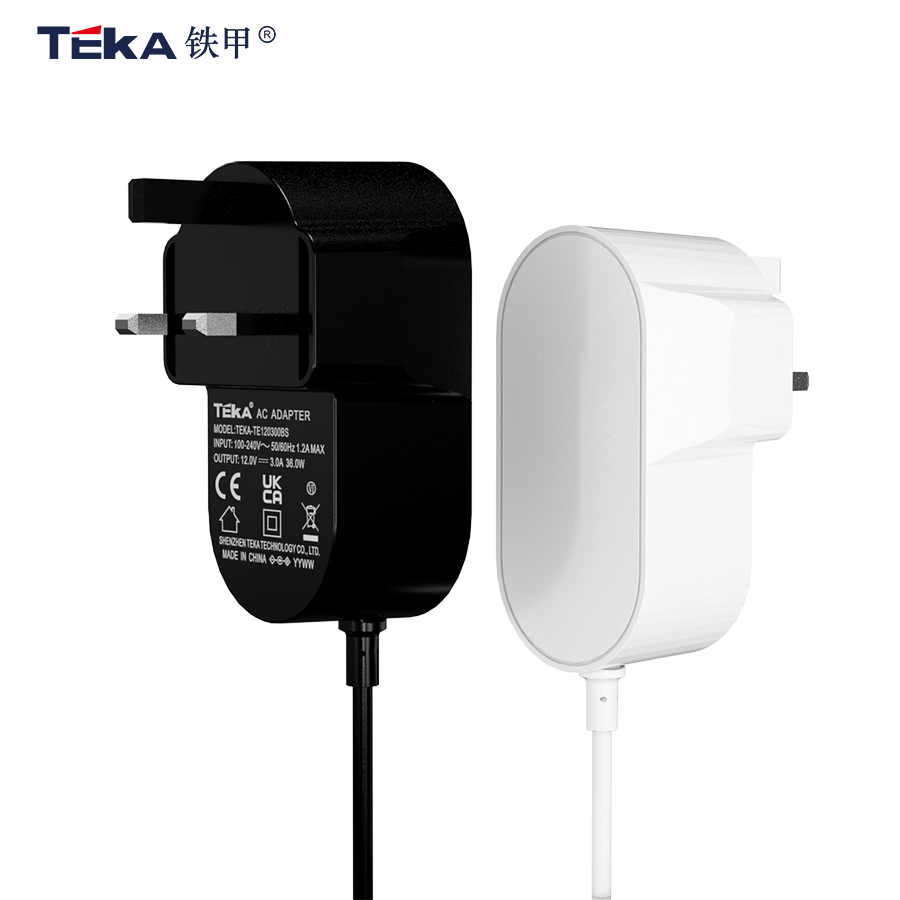 42W TE-BS Wall mount 42w power adapter