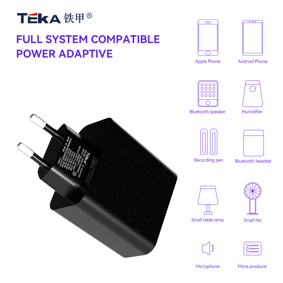 65W PD 65W PD Single C- EU Diversified Fast Charger