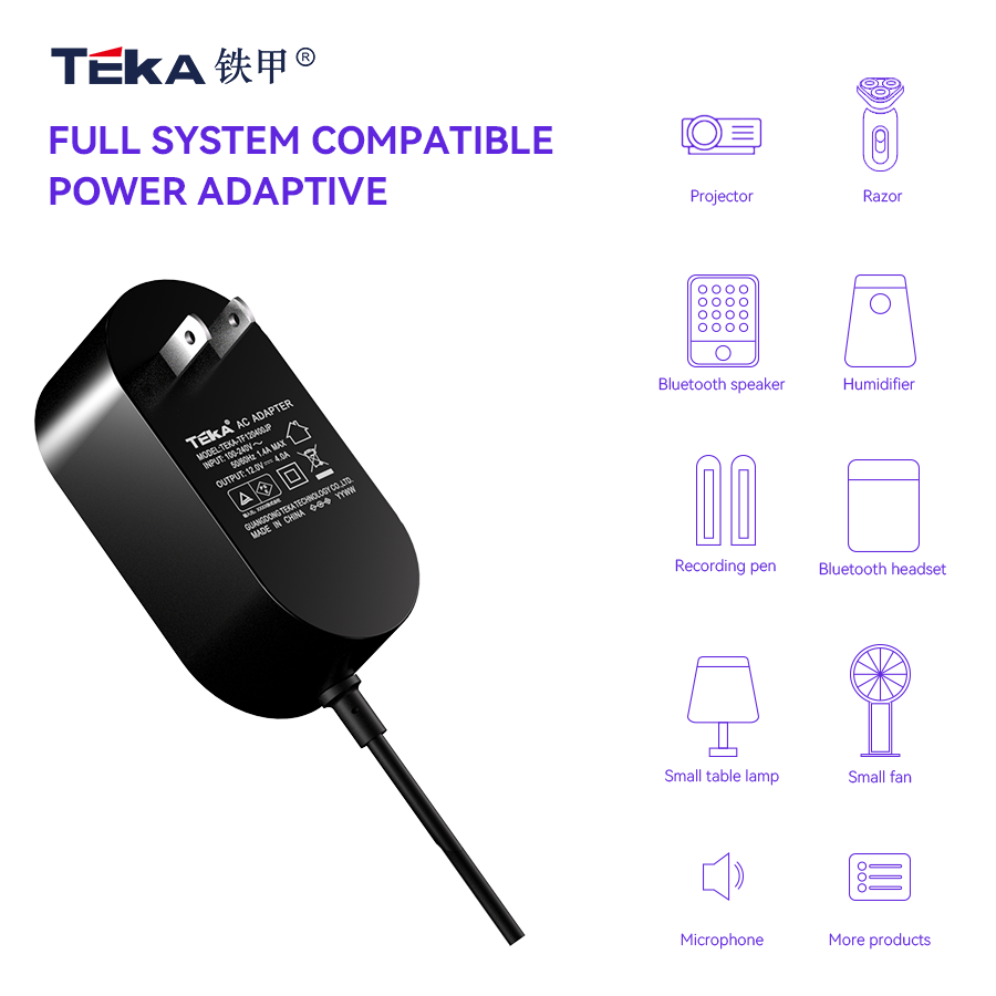 TF-JP Wall mount 65w power adapter