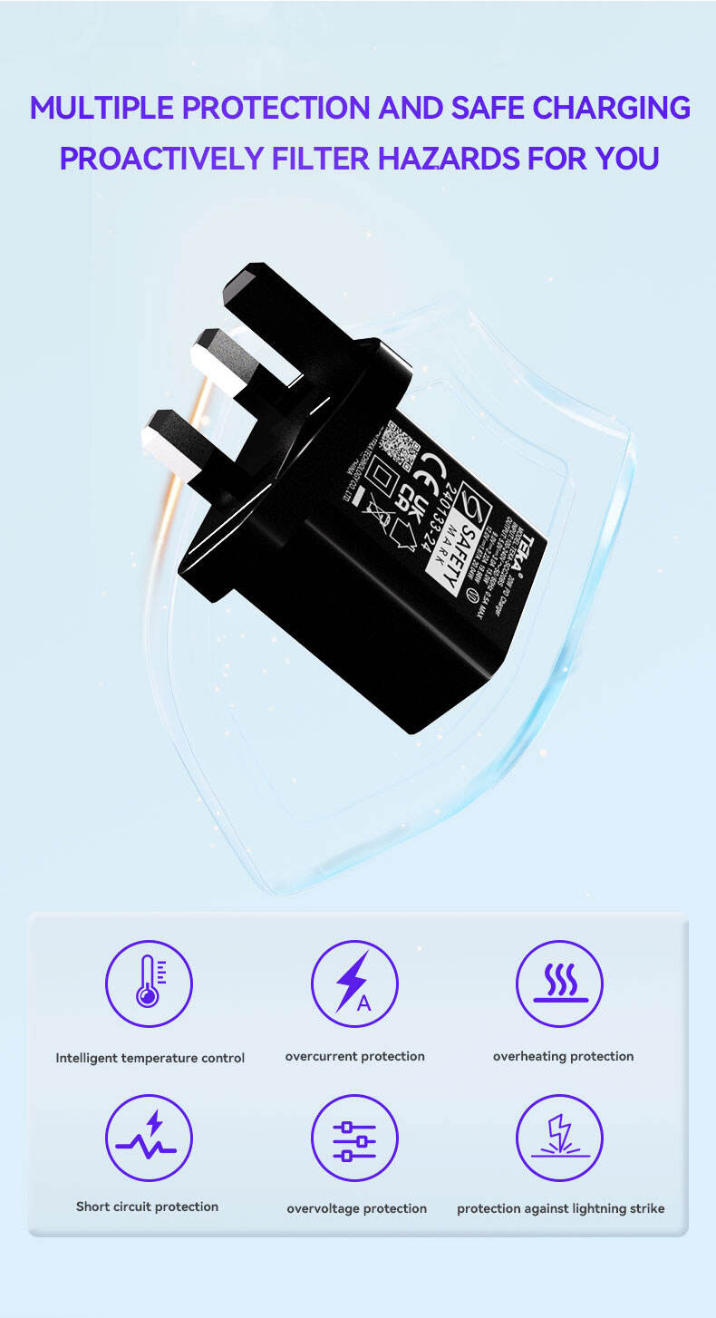 20W PD 20W PD-BS Diversified Fast Charger manufacture