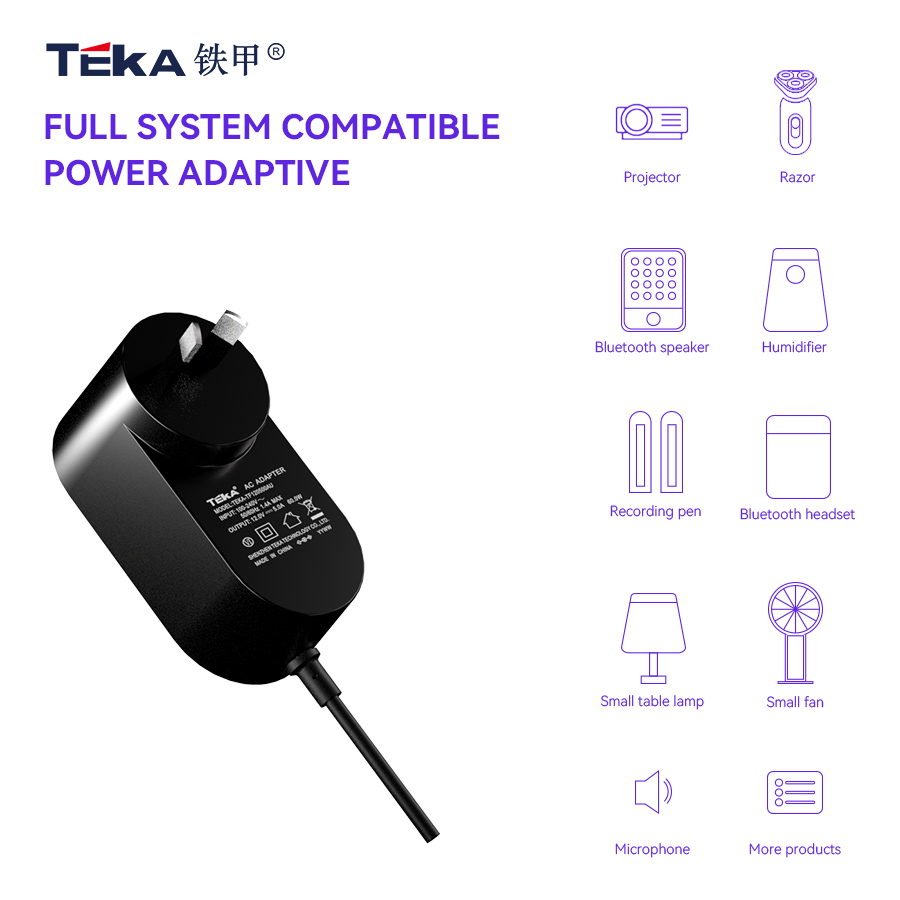 TF-AU Wall mount 65w power adapter