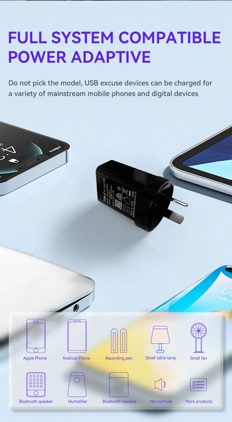 5V1A USB 5V1A-AU Diversified Fast Charger supplier