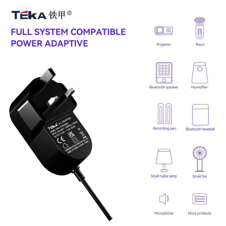 42W TE-BS Wall mount 42w power adapter