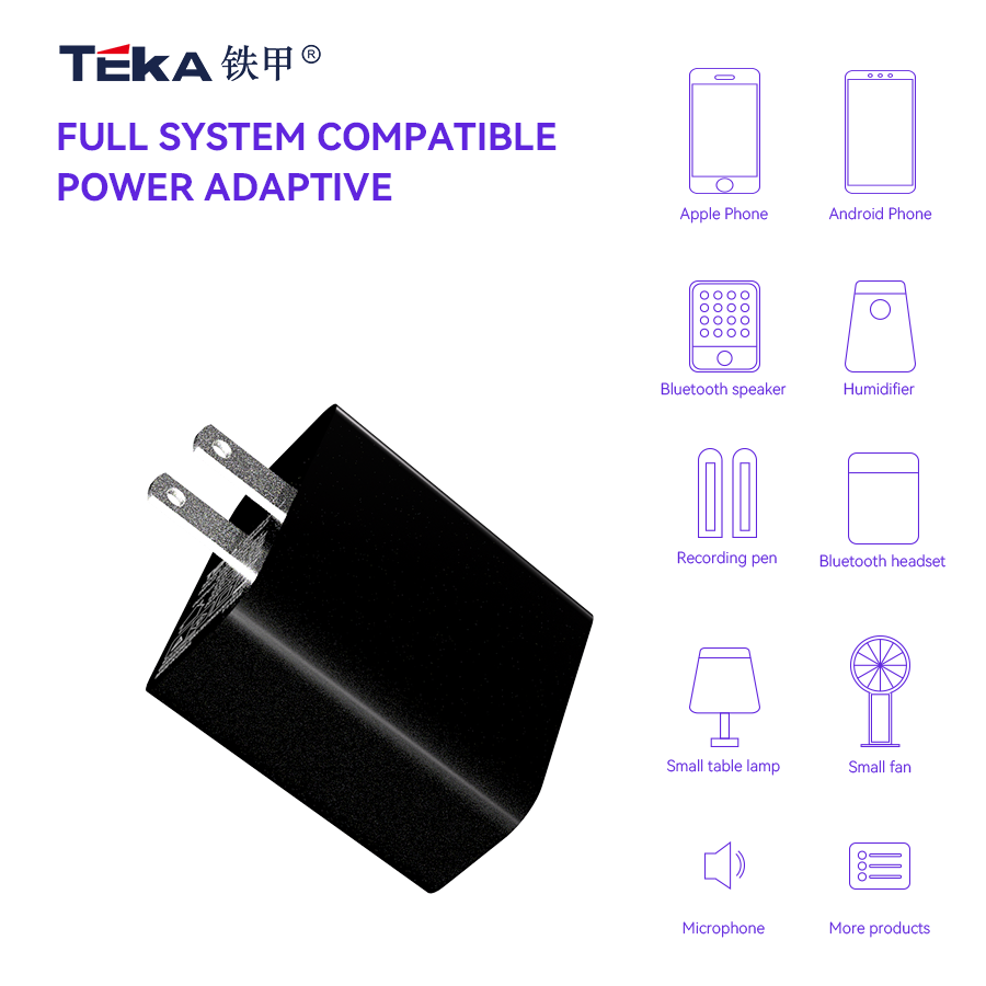 65W PD 65W PD Single C- JP Diversified Fast Charger