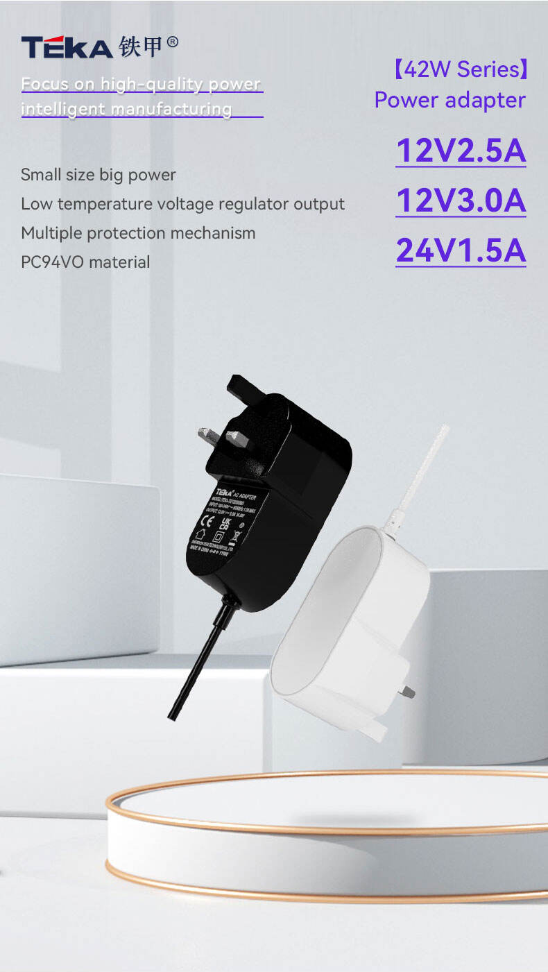 42W TE-BS Wall mount 42w power adapter manufacture