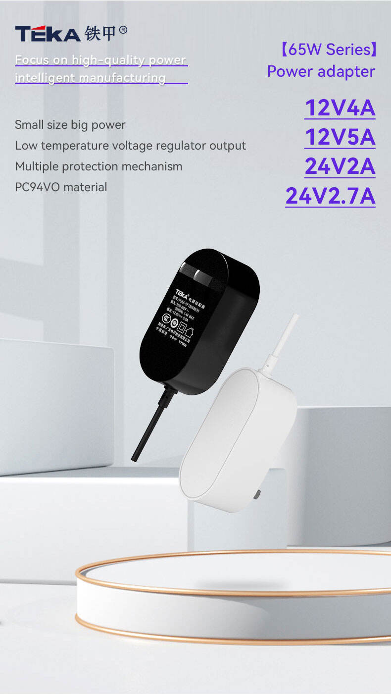 65W TF-CH Wall mount 65w power adapter factory