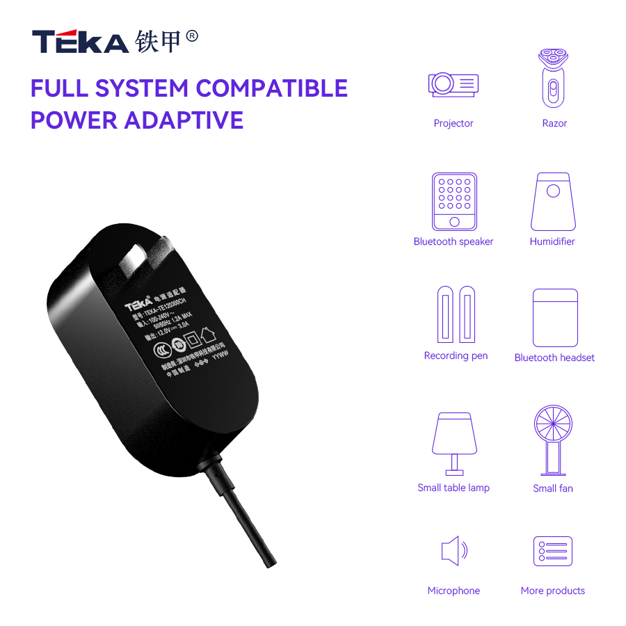 TE-CH Wall mount 42w power adapter