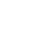 Personalized Wellness Insights