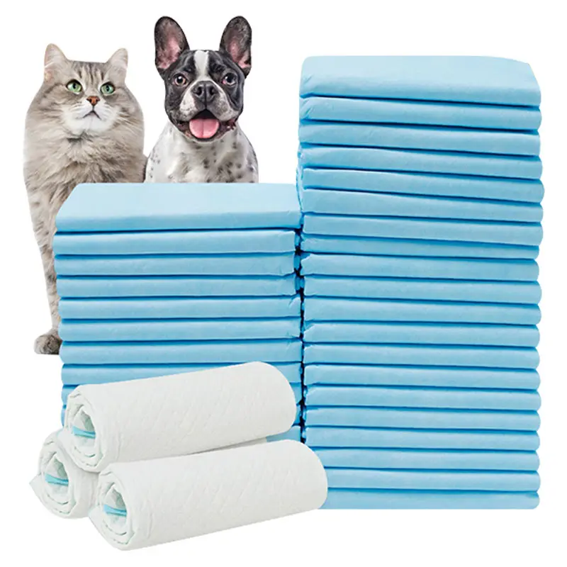 The Ultimate Guide to Using Pet Diapers: From Initial Training to Daily Care