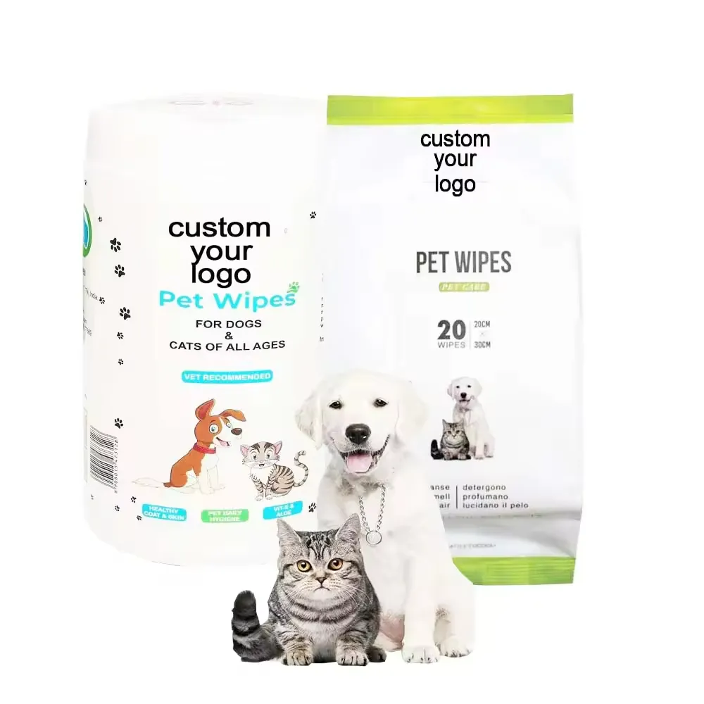Innovations dans les produits d'entretien animal : Facteurs clés pour améliorer la qualité de vie des animaux de compagnie