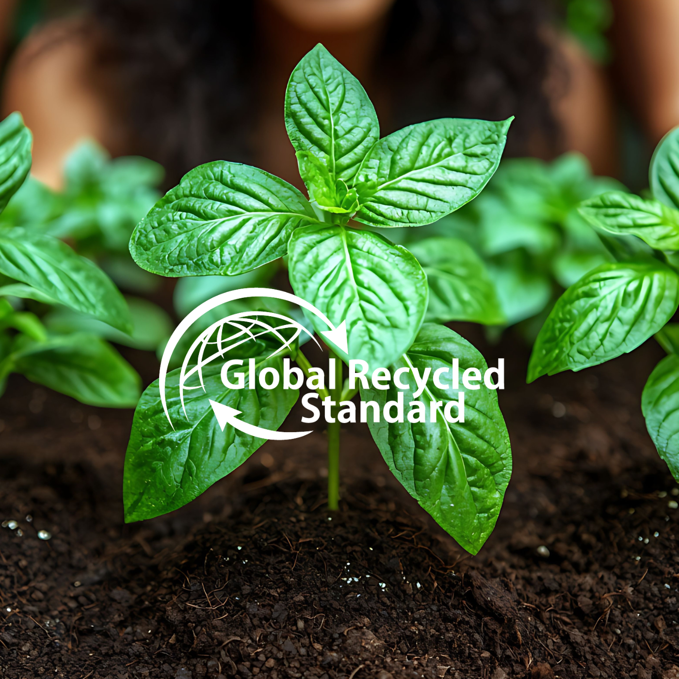 Pengeluaran Permaidani Mampan: Mematuhi Global Recycled Standard (GRS)