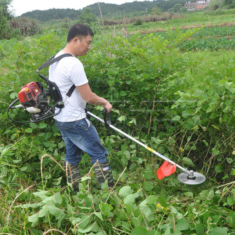 Jaringan Distribusi Global dan Dukungan Teknis