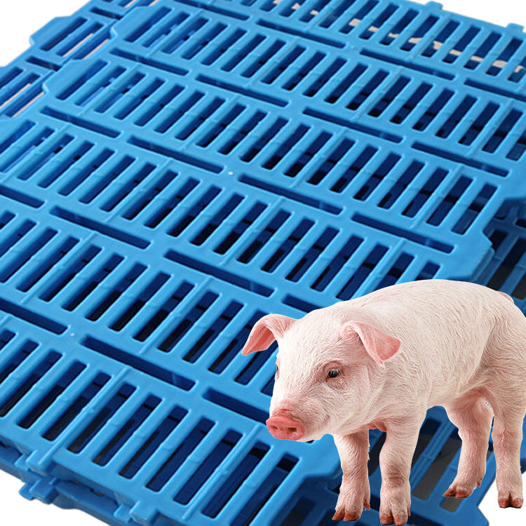 High Quality Pig Plastic Slatted Floor for Pig Sheep Equipment