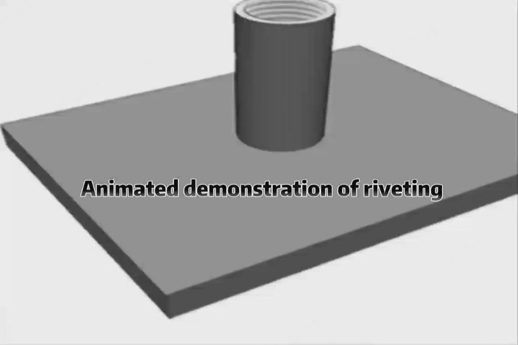 Comprehensive Explanation of the Principle and Steps of Press Riveting