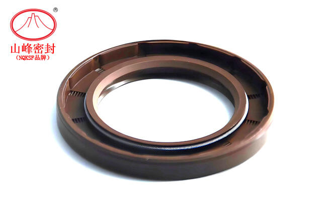 المعايير الأساسية لتقييم جودة الختم الزيتي العظمي