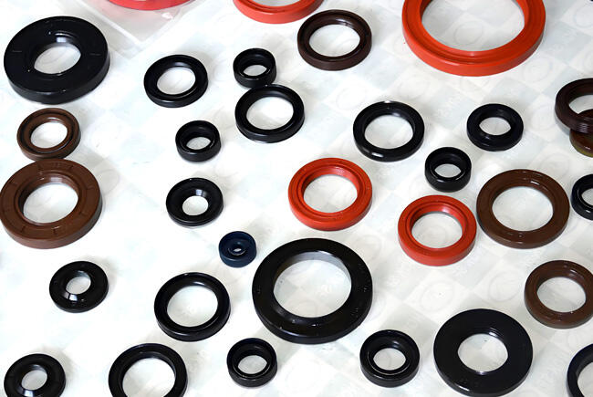 Types Of Oil Seals.jpg