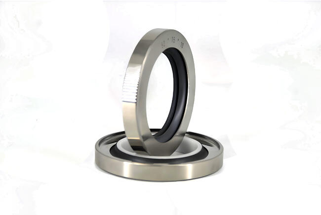 مزايا وتطبيقات ختم الفولاذ المقاوم للصدأ مع الـ PTFE