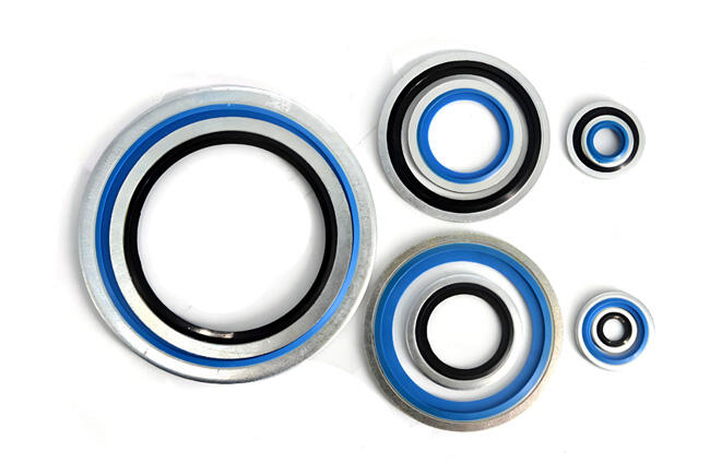 أين تُستخدم الختمات المربوطة بشكل شائع؟