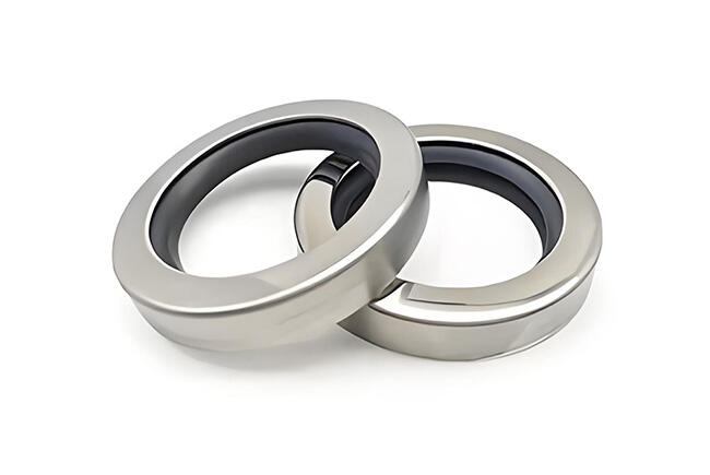 Stainless-Steel-PTFE-Oil-Seals.jpg