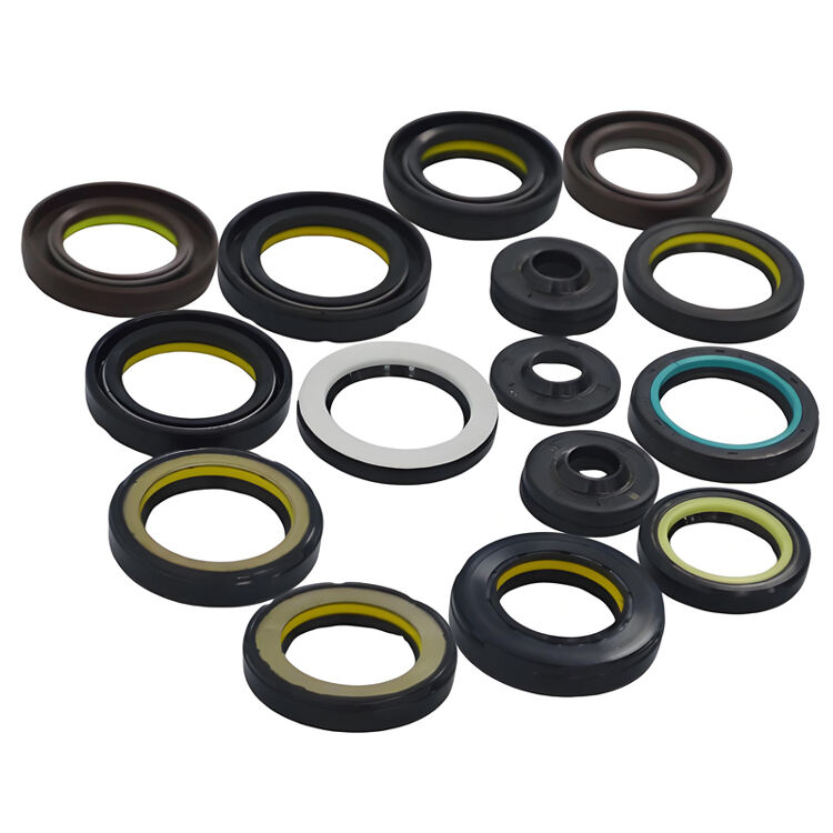 Power Steering Oil Seal