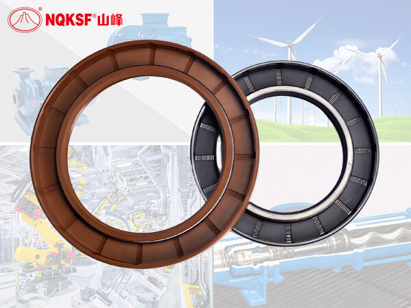 Double-lip-Radial-Shaft-Seal.jpg