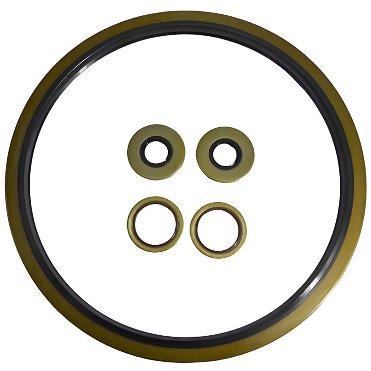 Other Standard Oil Seals