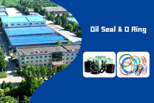 NQKSF-Rubber-Seal-Manufacturers.jpg