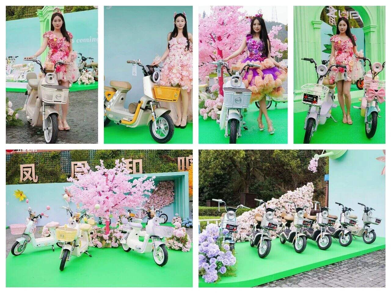 5. Zuboo Electric bike.jpg