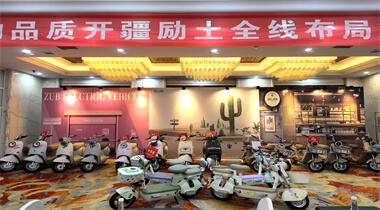 Kumperensya sa Marketing ng Zuboo sa Henan, Marso 2025