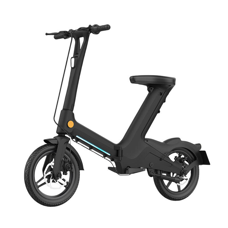 Electric Bike