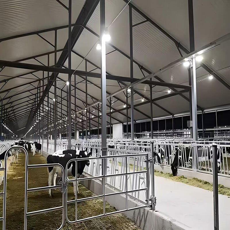 Focus on the Strictly Essential Factors Behind a Steel Frame Livestock Shed