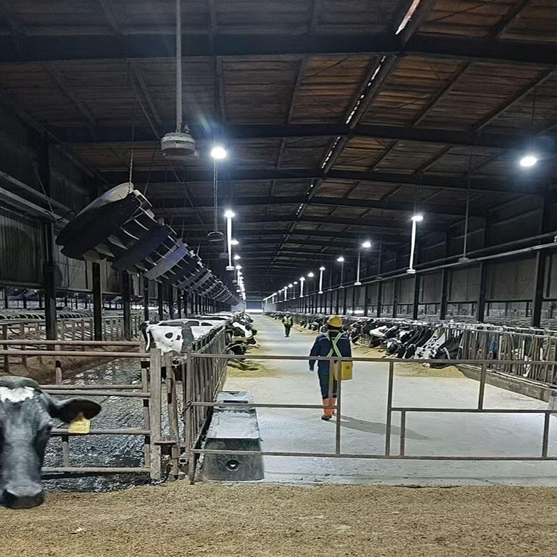 Affordable and Energy efficient light steel livestock sheds.