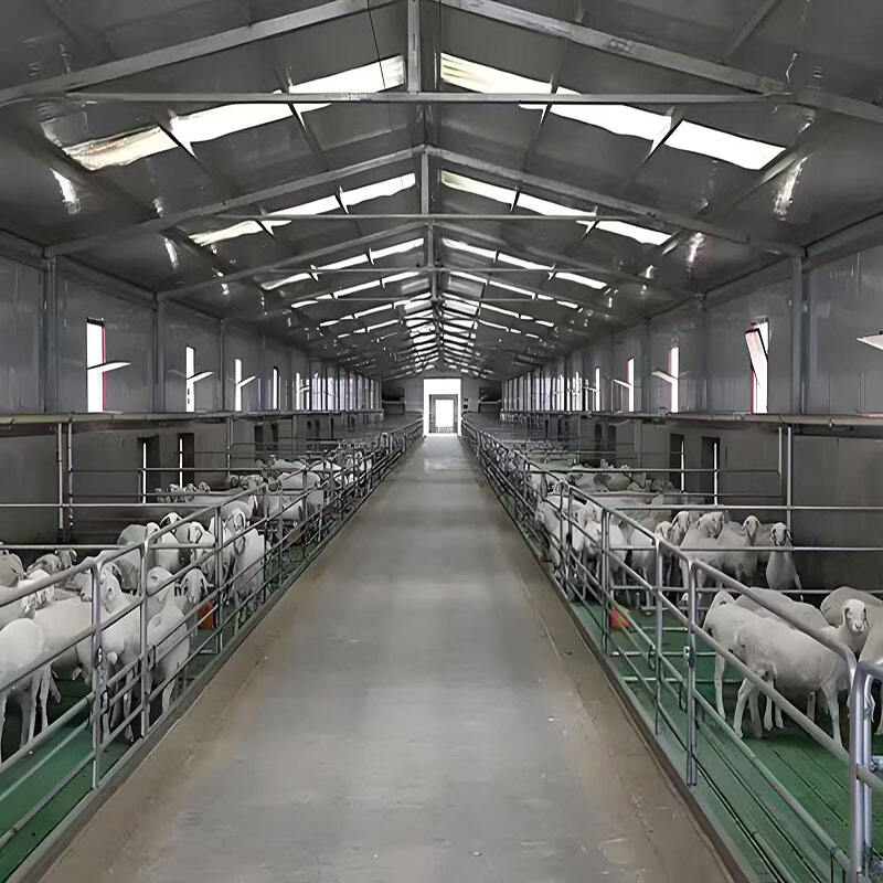  Animal Welfare Enhancing Livestock Sheds