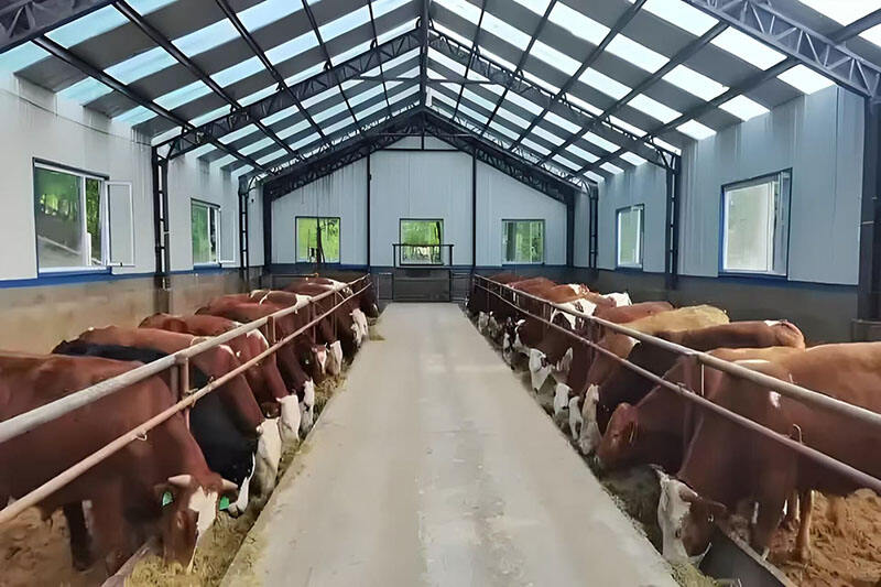 ¿Cómo pueden las estructuras de acero para refugios ganaderos garantizar el bienestar animal y la productividad?
