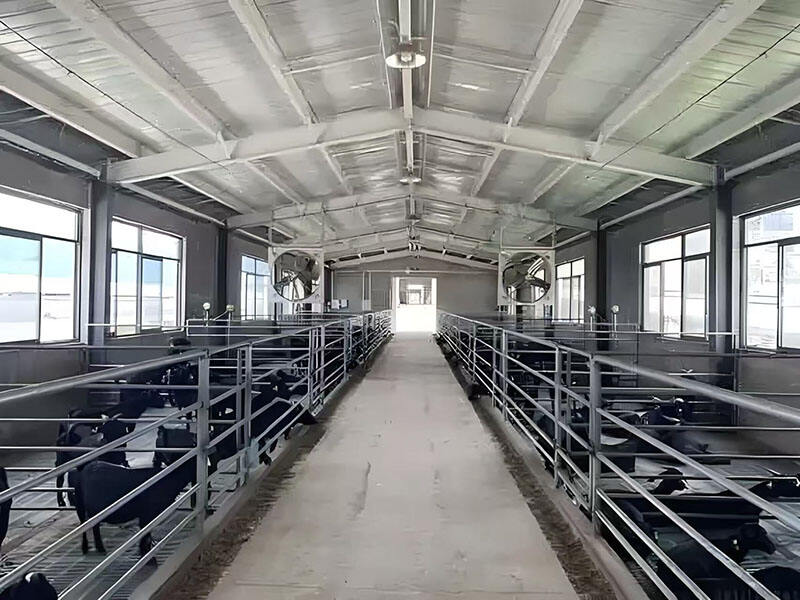 What Should You Consider When Building a Steel Structure Livestock Shed?