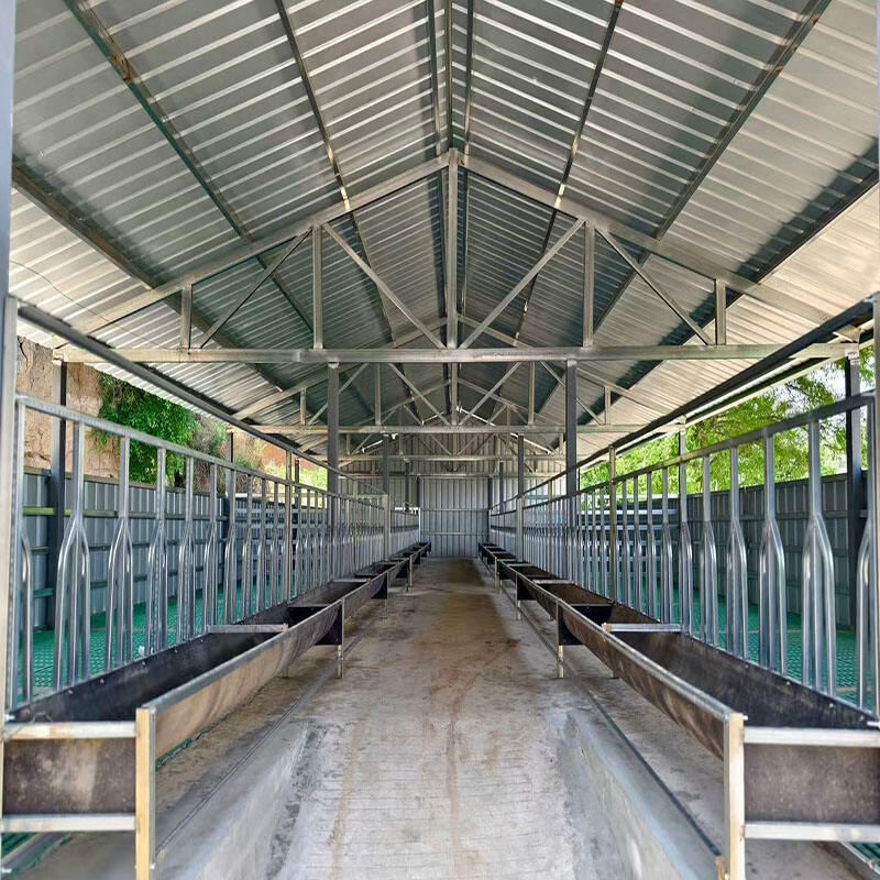  Livestock Shed Design using Composite Steel Structure Offerings