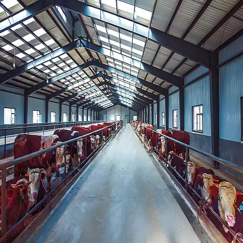 Diseños únicos para el cobertizo de ganado de acero para la agricultura futura