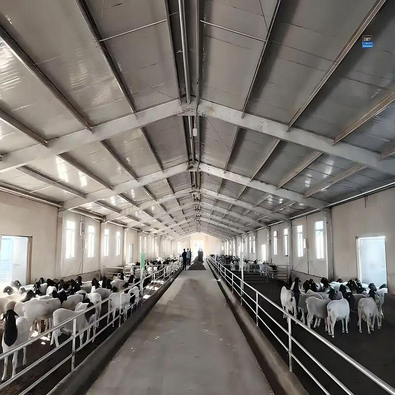 Granja de ganado hecha de acero de color y estructuralmente avanzada para la agricultura moderna
