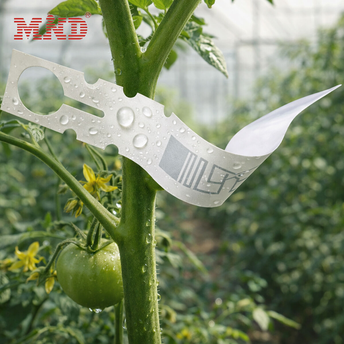 UHF RFID Plants Label for Plants, flowers, crops, trees tracking Management Mi7014-M730