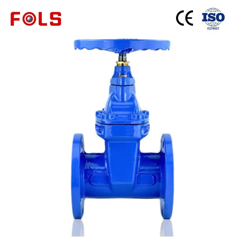 Concealed bar soft seal gate valve