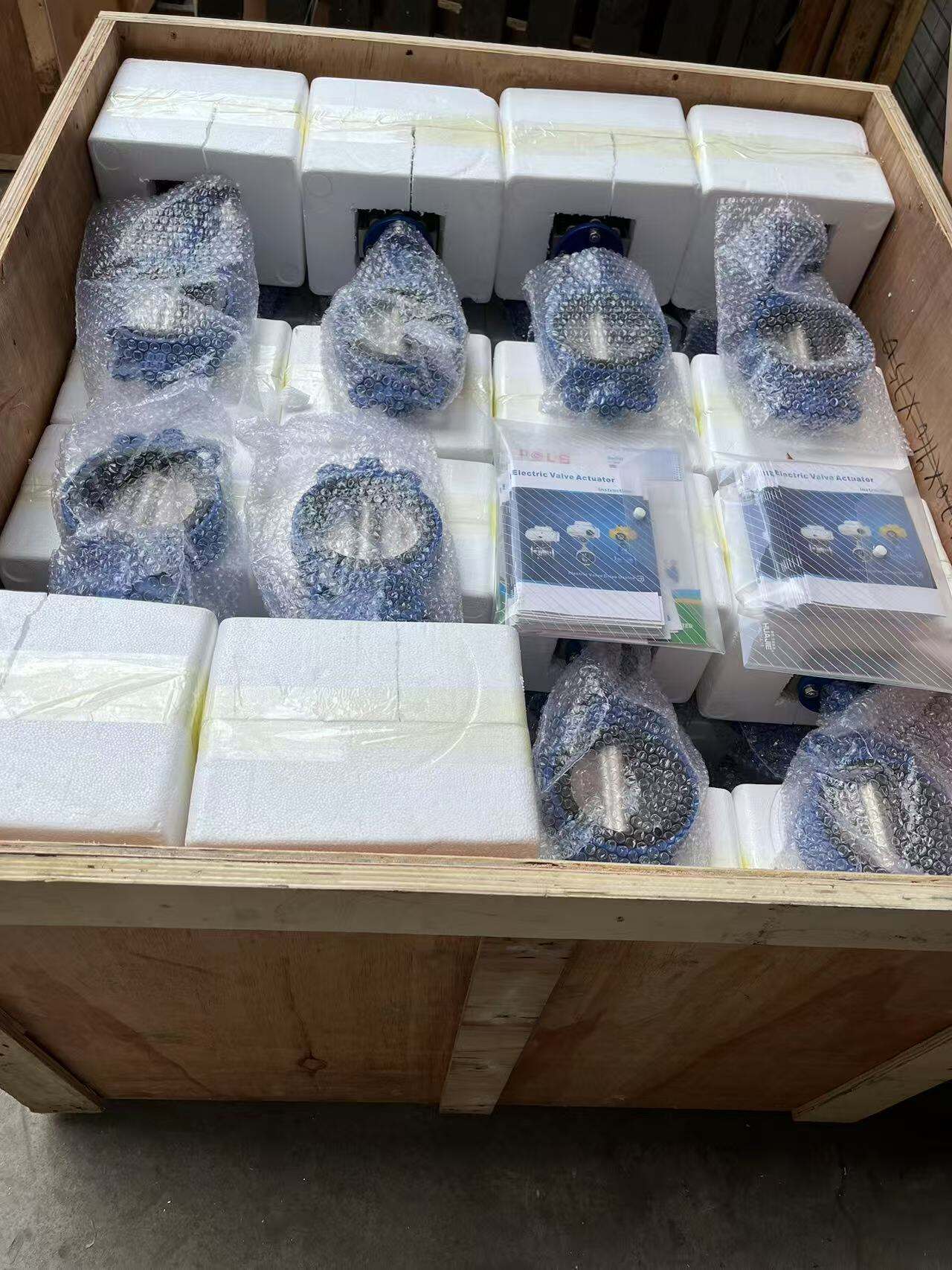 နိုင်ငံခြားသို့ တင်ပို့ရန် လျှပ်စစ် အက်ကျူးတော့များတွင် မည်သည့် လက်မှတ်များ ရှိရမည်နည်း။